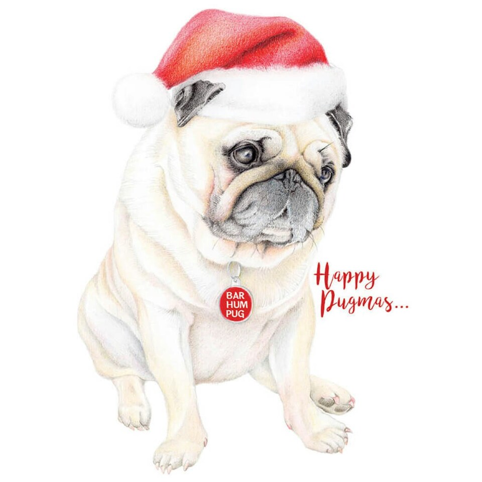image 1 of Deckled Edge Happy Pugmas Christmas Card - Brown/Grey/Red - One Size