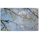 image 1 of Tree Branches & Sky (Bath Towel)