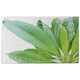 image 2 of Collection Of Green Leaves On White (Bath Towel)