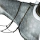 image 2 of Collegiate Hunter Breast Plate IV - Brown - Cob