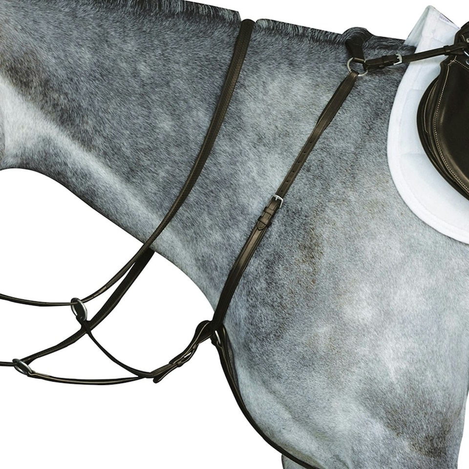 image 1 of Collegiate Hunter Breast Plate IV - Brown - Cob