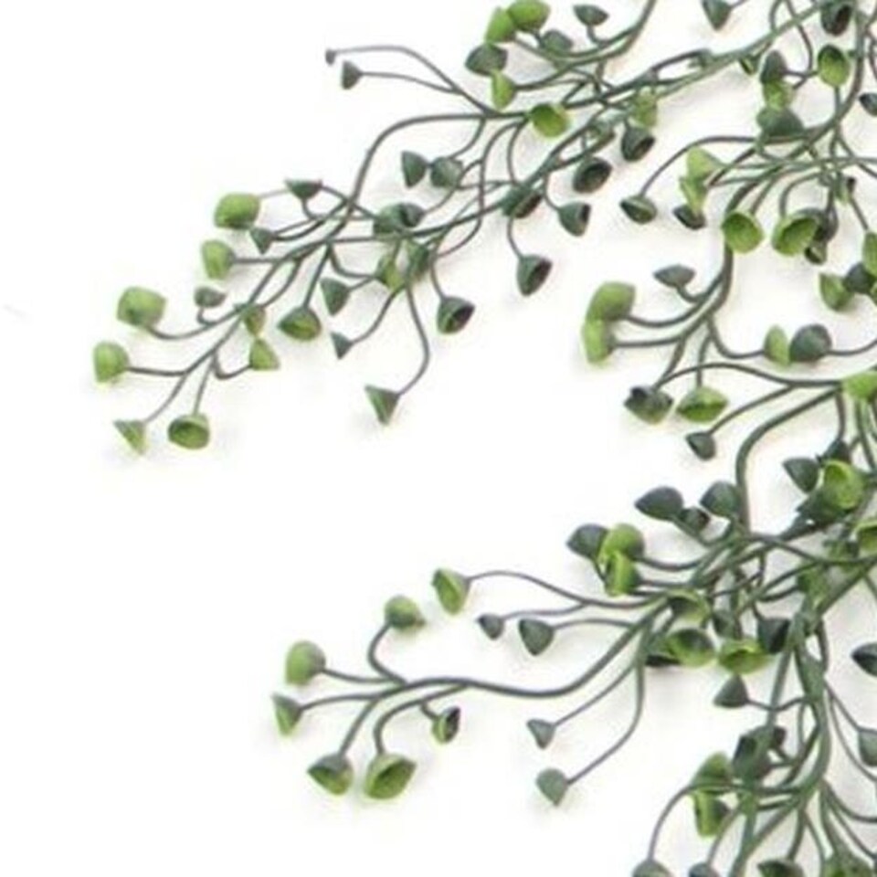 image 1 of Hanging UV and Fire Resistant Artificial String Pearl Plant 75cm