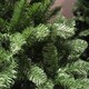 image 6 of 8ft (240cm) Imperial Pine Christmas Tree with 980 Tips in Green