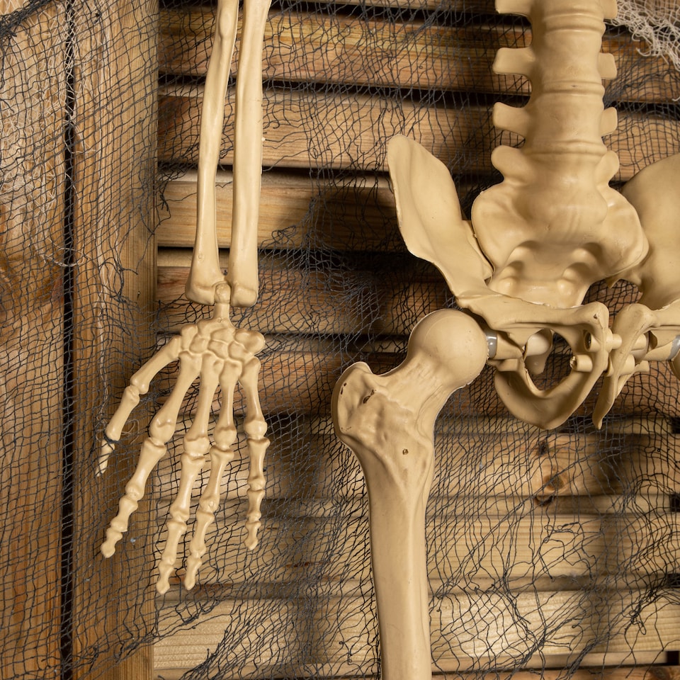 image 1 of 5ft (150cm) Posable Full Body Halloween LED Skeleton Decoration with Movable Joints and LED Eyes