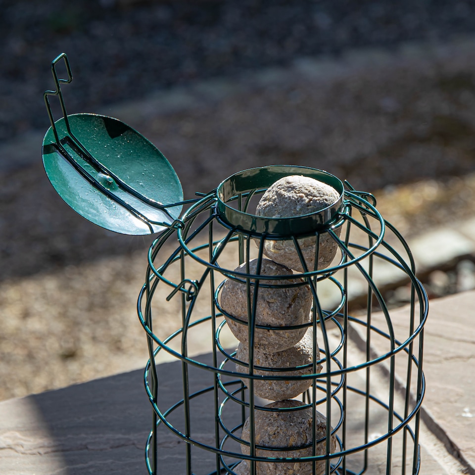 image 1 of Samuel Alexander Metal Hanging Bird Fat Ball Feeder with Squirrel Guard & Pack of 6 Suet Fat Balls