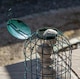 image 7 of Samuel Alexander Metal Hanging Bird Fat Ball Feeder with Squirrel Guard & Pack of 6 Suet Fat Balls