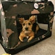 image 6 of HugglePets Fabric Crate Foldable Pet Carrier Pink | L