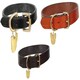 image 1 of Shires Digby & Fox Flat Leather Dog Collar Black | Size: Medium
Colour: Black | M