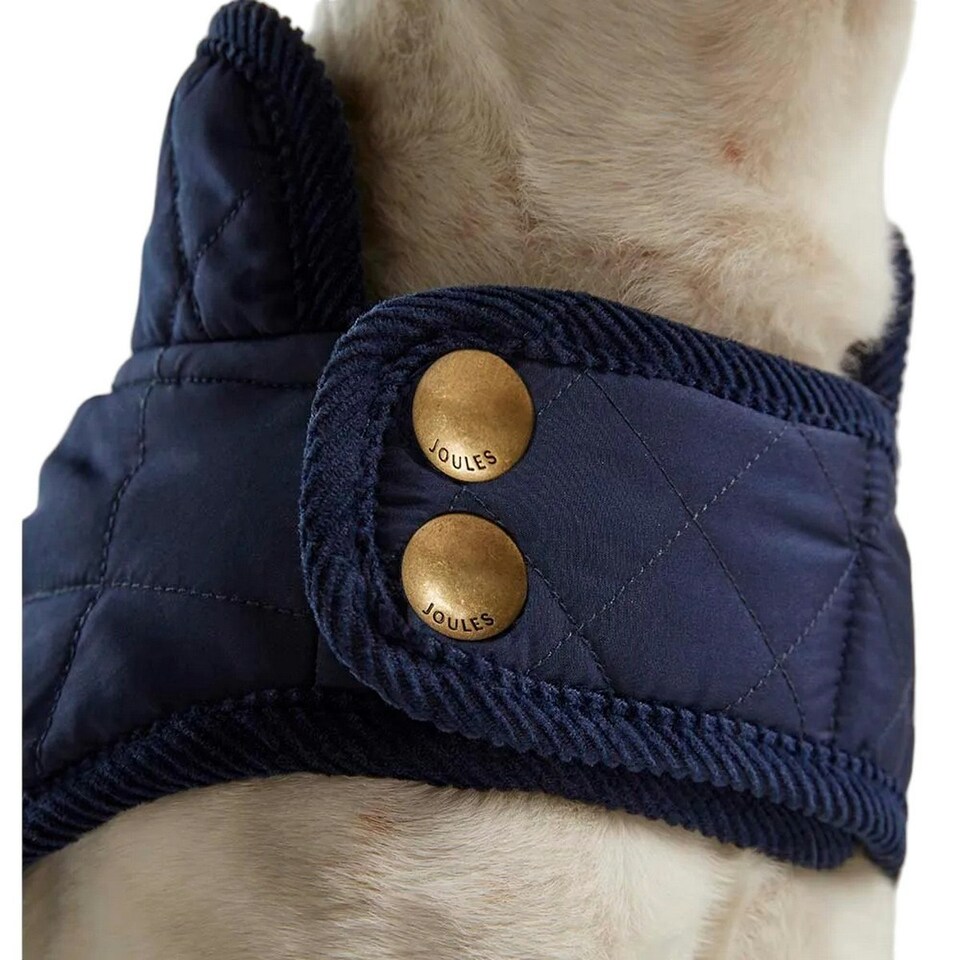 image 1 of Joules Quilted Dog Coat - Navy - M