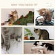 image 5 of PawHut 4pc Cat Shelves Cat Wall Furniture with Steps Scratching Post Grey