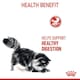 image 6 of Royal Canin Cat Food Digestive Care 2 KG