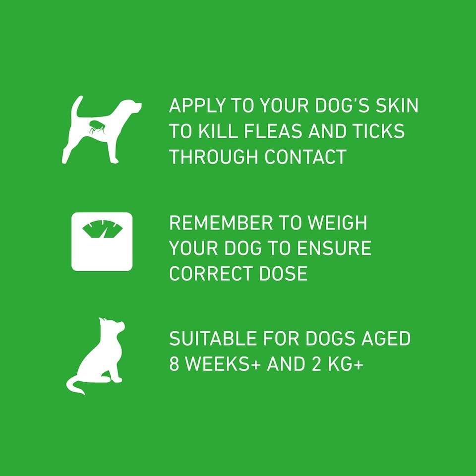 image 1 of Frontline Plus Spot On - 6 Pipettes / Medium Dog 10-20kg
