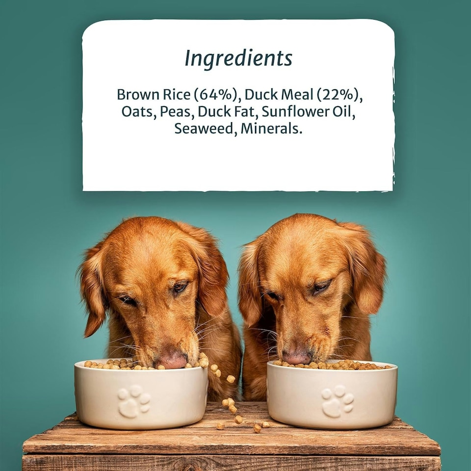 image 1 of Burns Sensitive Duck & Rice Adult & Senior Dry Dog Food - 6 kg