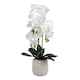 image 1 of Artificial White Orchid with Ceramic Bubble Planter Botanik