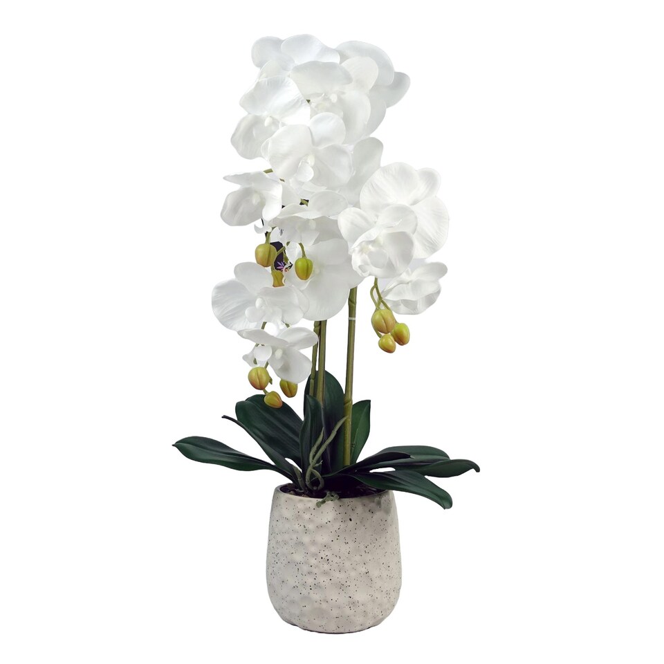 image 1 of Artificial White Orchid with Ceramic Bubble Planter Botanik