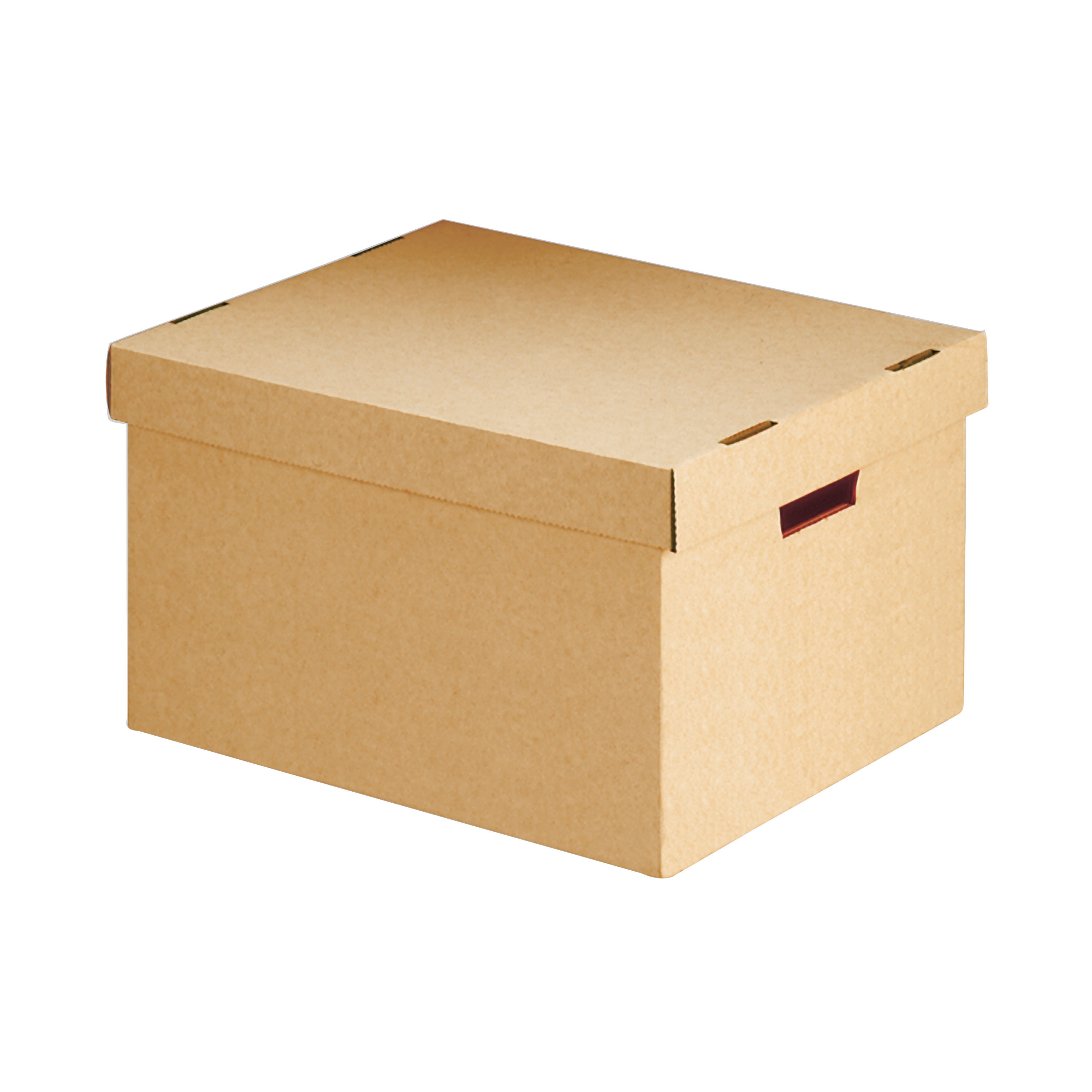Archive Storage Boxes with Lids Brown Cardboard Pack of 10 ROW235432/A