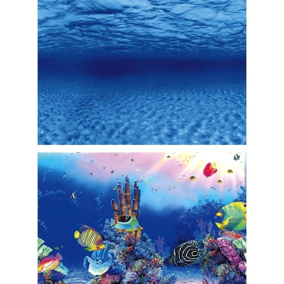 image 1 of Superfish Deco Poster F (Sea/Reef) N/A | 60cm x 49cm