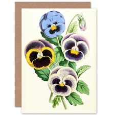 Garden Flowers Pansies James Andrews Vintage Floral Art Card