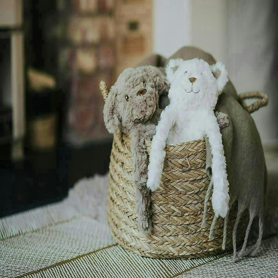 image 1 of Rosewood MyDog Luxury Plush Dog Toy For Dogs - 40cm