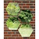 image 1 of Primrose Set of 4 Small Hexagonal Silver Outdoor Mirrors 11in