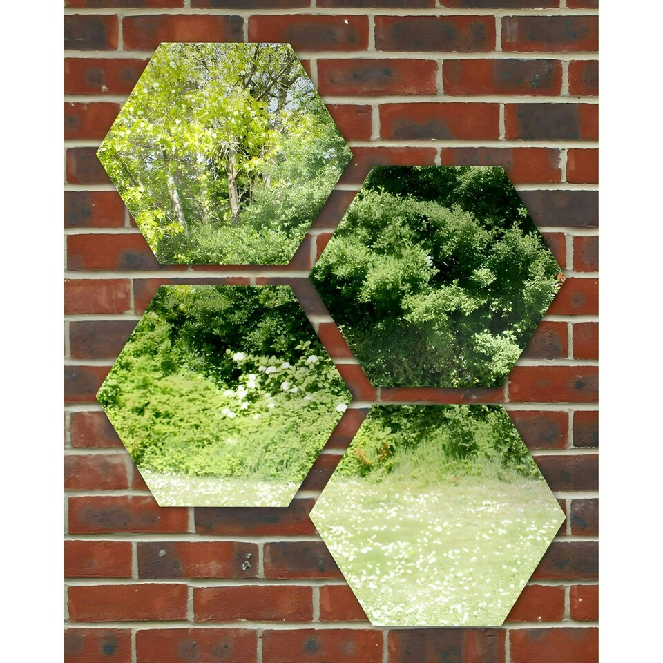 image 1 of Primrose Set of 4 Small Hexagonal Silver Outdoor Mirrors 11in
