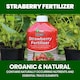 image 4 of Vitax Organic Strawberry Fertiliser 1L Liquid for Rich Flavor Bountiful Strawberries and Prolific Yields