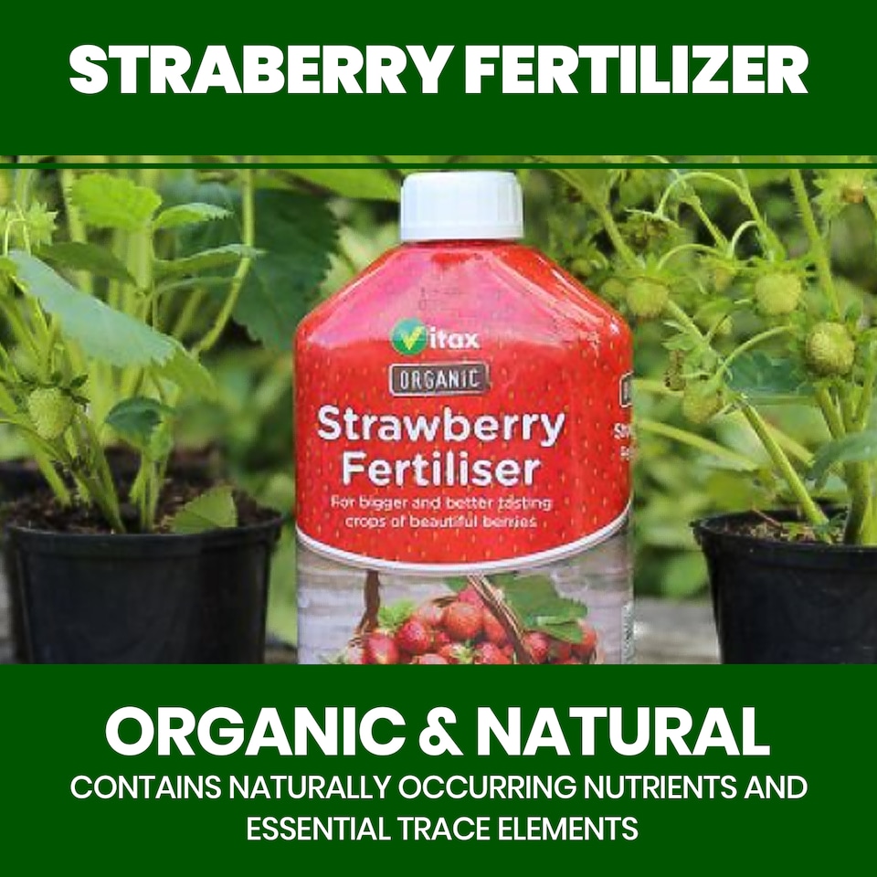 image 1 of Vitax Organic Strawberry Fertiliser 1L Liquid for Rich Flavor Bountiful Strawberries and Prolific Yields