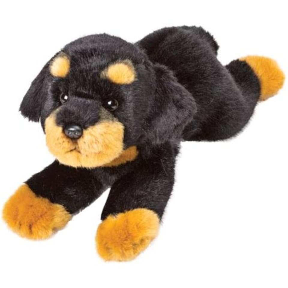 Rottweiler Medium