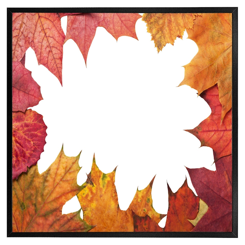 image 1 of Red autumn border (Picture Frame) Brown | XL