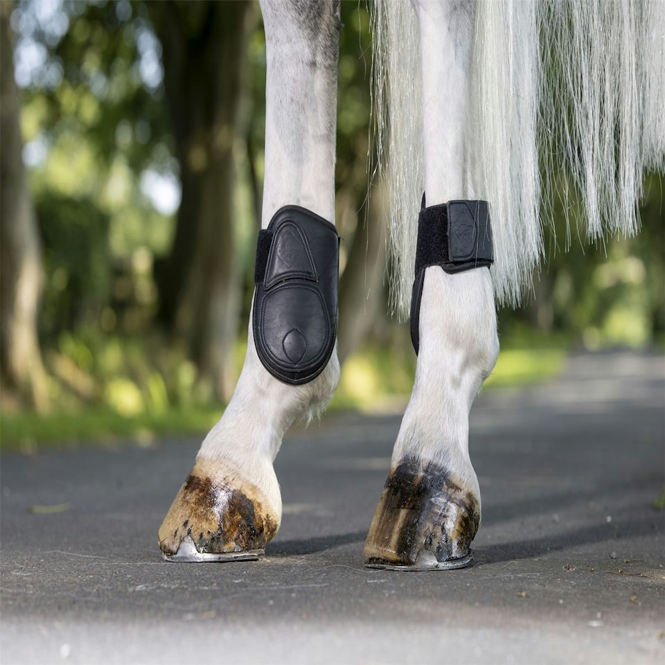 image 1 of LeMieux Capella Fetlock Boots Black | Size 1