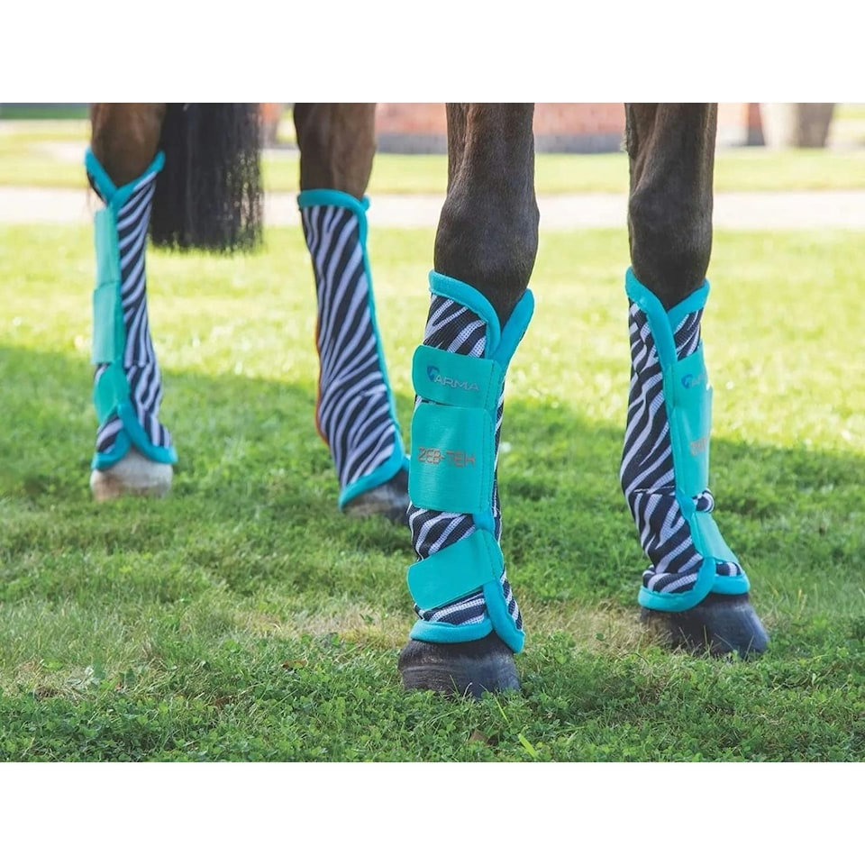 image 1 of ARMA Zeb-Tek Horse Fly Turnout Socks (Pack of 4) - Black/White/Teal - Full
