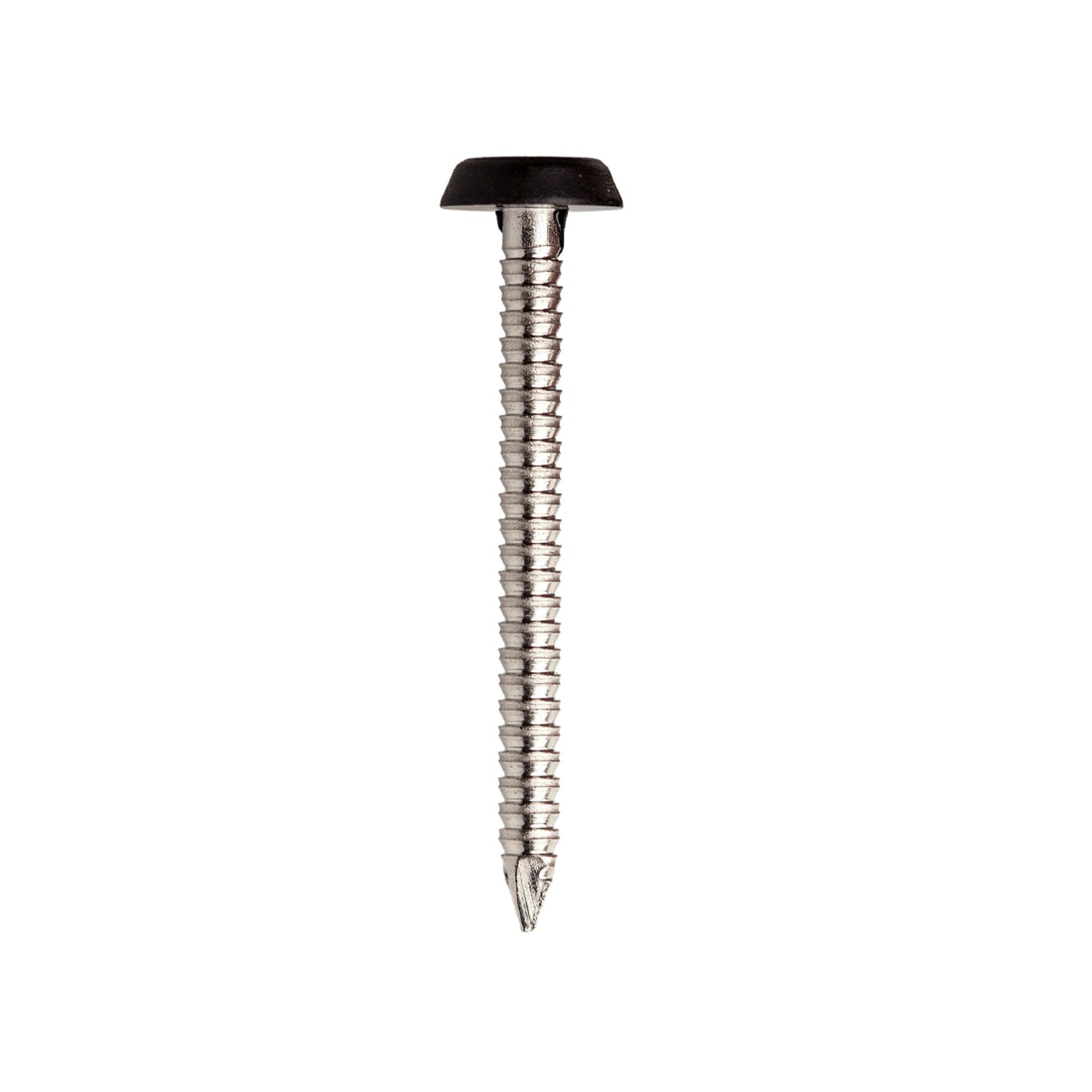 JCP CONSTRUCTION PRODUCTS A4-316 St/St Plastic Headed Nails 30 x 2.00mm - Box of 250 in Black
