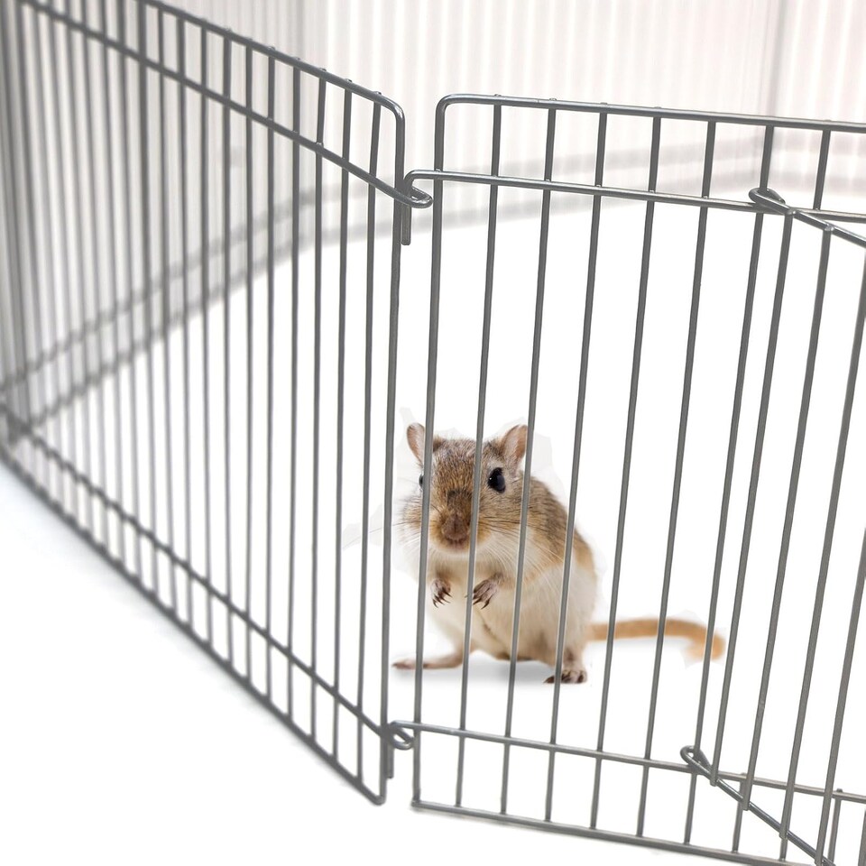image 1 of Actiaspet - Small Animal Playpen | 8-Panel Metal Enclosure with Door, 33 x 23 cm Panels