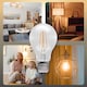 image 7 of BELL Lighting E27 LED Filament GLS Warm White 7W Energy Saving Light Bulb