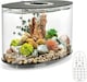 image 10 of biOrb LOOP MCR 15L Aquarium | Multi