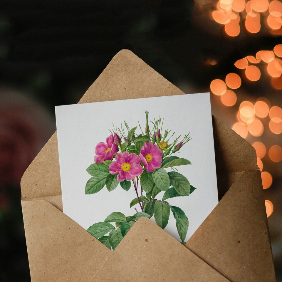 image 1 of Pierre-Joseph Redouté Art Card Vintage Carolina Rose Illustration