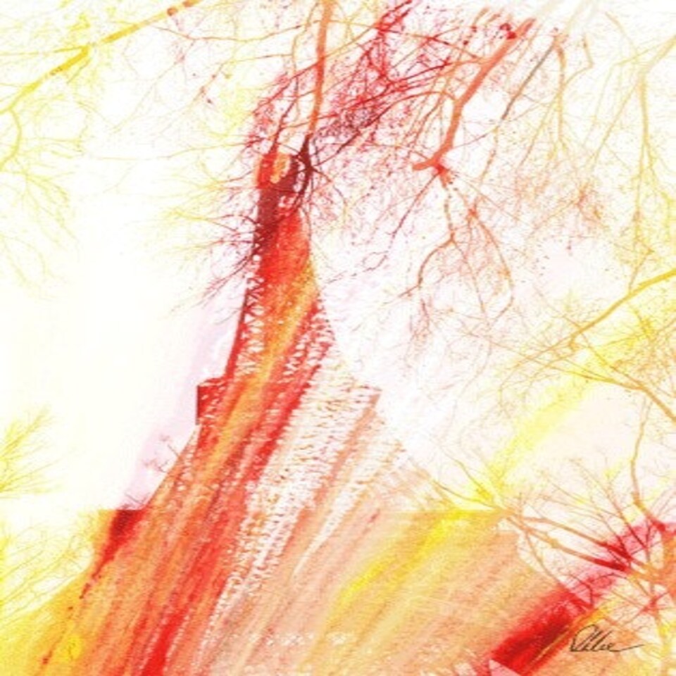 image 1 of Fury (Canvas Print) 36" x 24"