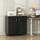 image 6 of Vinsetto 2-Tier Locking Filing Cabinet Office Storage Cabinet, Black