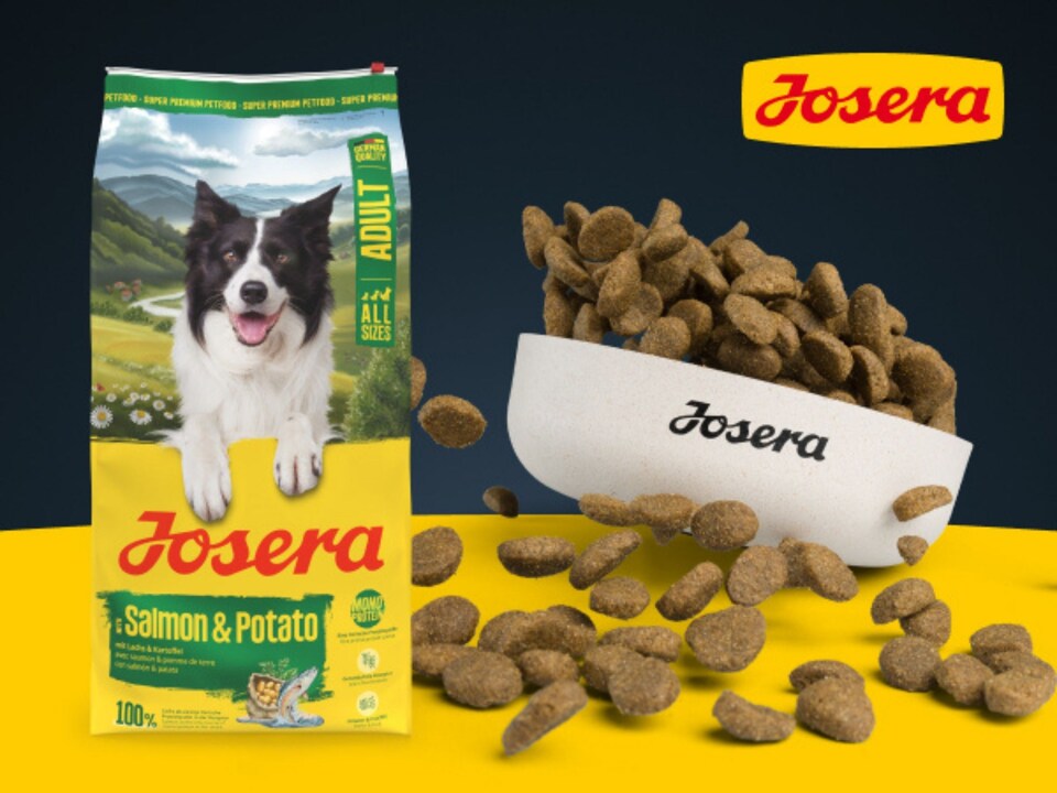 image 1 of Josera Adult Salmon & Potato grain-free complete food | Adult & Senior dogs | Single animal protein | Gluten free | Herbs & fruit | Skin & Coat | 5x0.9kg