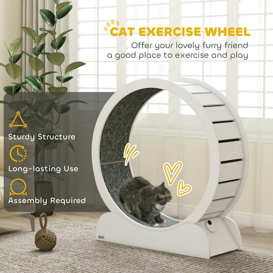image 1 of PawHut Cat Exercise Wheel, 39.4 inch Running Treadmill with Brake, White