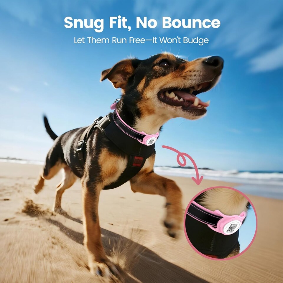 image 1 of AirTag Dog Collar Holder & Free App Pet Tracker Smart QR ID