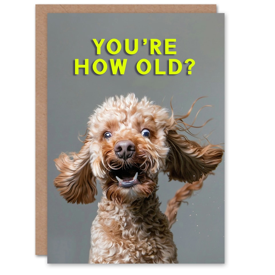 image 1 of Shocked Cockapoo How Old Joke Cockapoo For Him Birthday Card
