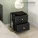 image 4 of HOMCOM PU Leather Bedside Table with 2 Drawers and Steel Legs, Black