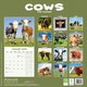 image 2 of Cows 2026 Calendar | Square Wall Calendar | Farm Animal Gift | Plastic Free Packaging | by Avonside Publishing