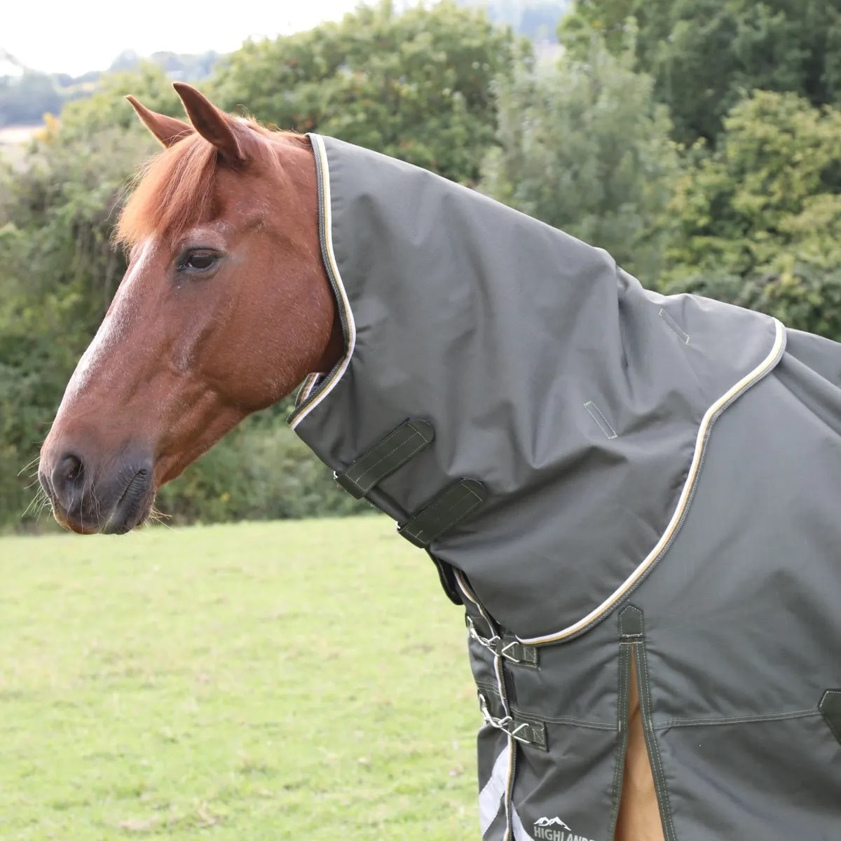 Highlander Plus Horse Turnout Neck Cover Green Green XL 1