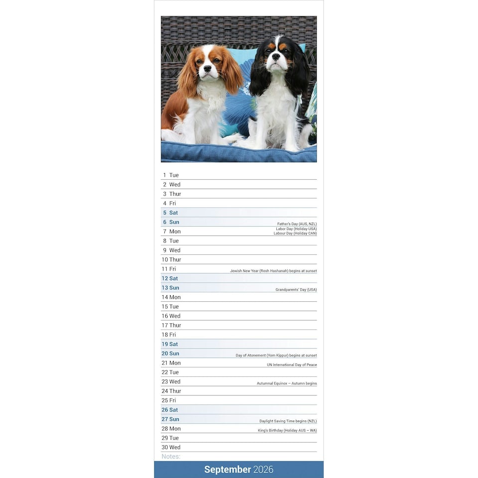 image 1 of Cavalier King Charles Spaniel Slim 2026 Calendar | Slimline Wall Calendar | Dog Breed Gift | Plastic Free Packaging | Avonside Publishing Ltd