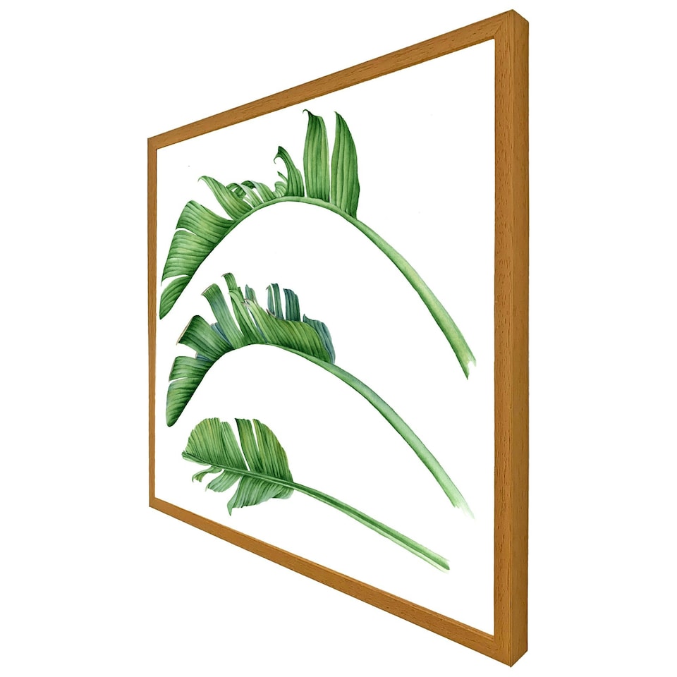 image 1 of Triple botanical (Picture Frame) Brown | S