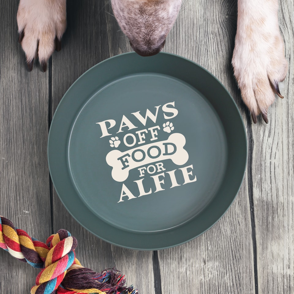 image 1 of Pre-personalised Dog Bowl Featuring Popular Names, Breeds and Captions - Barney - Over 60 Titles Available