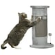 image 1 of PawHut Claw Scratcher Corner Wall, with Plush Sisal Toy Balls, 58cm, Grey