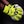 Fluo Yellow/Black